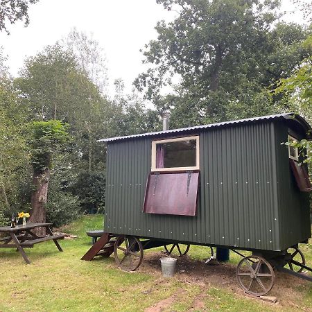 The Shepherd'S Hut - Wild Escapes Wrenbury Off Grid Glamping - Ages 12 And Over Baddiley Екстериор снимка