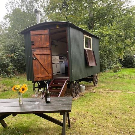 The Shepherd'S Hut - Wild Escapes Wrenbury Off Grid Glamping - Ages 12 And Over Baddiley Екстериор снимка
