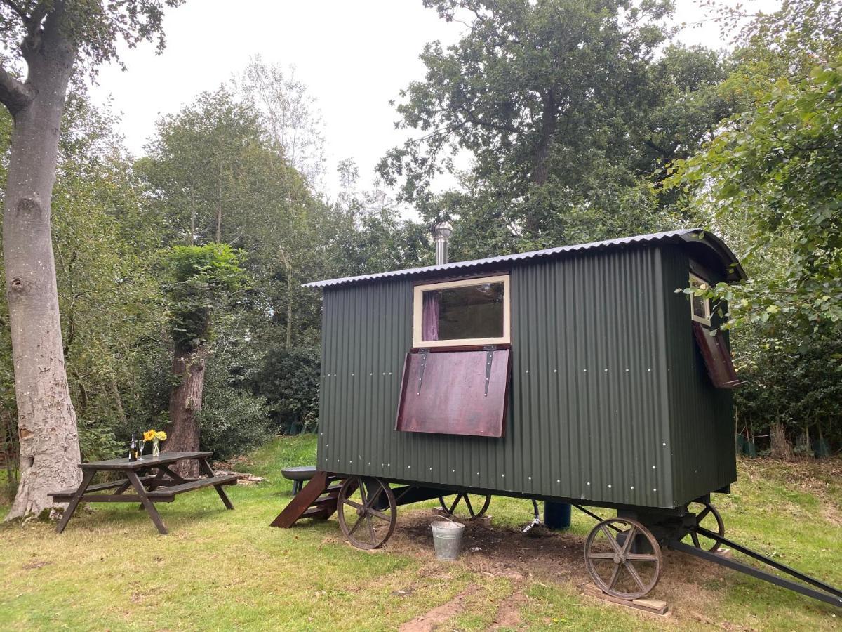The Shepherd'S Hut - Wild Escapes Wrenbury Off Grid Glamping - Ages 12 And Over Baddiley Екстериор снимка