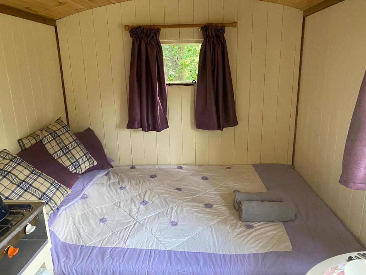 The Shepherd'S Hut - Wild Escapes Wrenbury Off Grid Glamping - Ages 12 And Over Baddiley Екстериор снимка